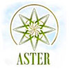 Логотип компанії Aster